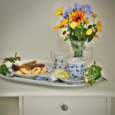 Bed and Breakfast Casa Antonio Barano dʼIschia Zewnętrze zdjęcie