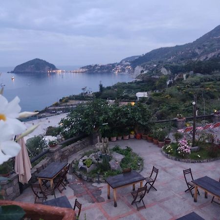 Bed and Breakfast Casa Antonio Barano dʼIschia Zewnętrze zdjęcie