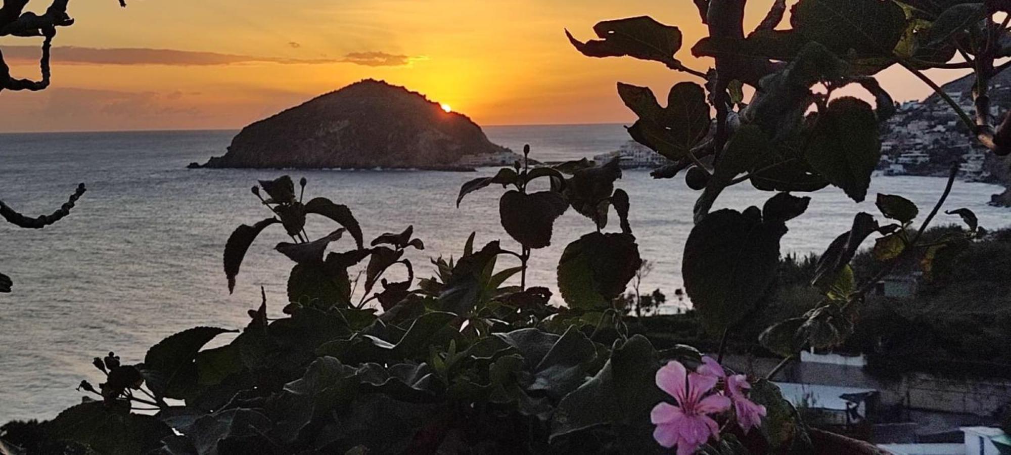 Bed and Breakfast Casa Antonio Barano dʼIschia Zewnętrze zdjęcie