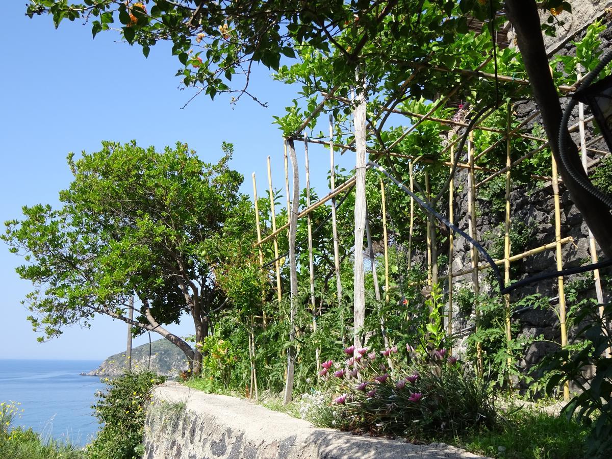 Bed and Breakfast Casa Antonio Barano dʼIschia Zewnętrze zdjęcie