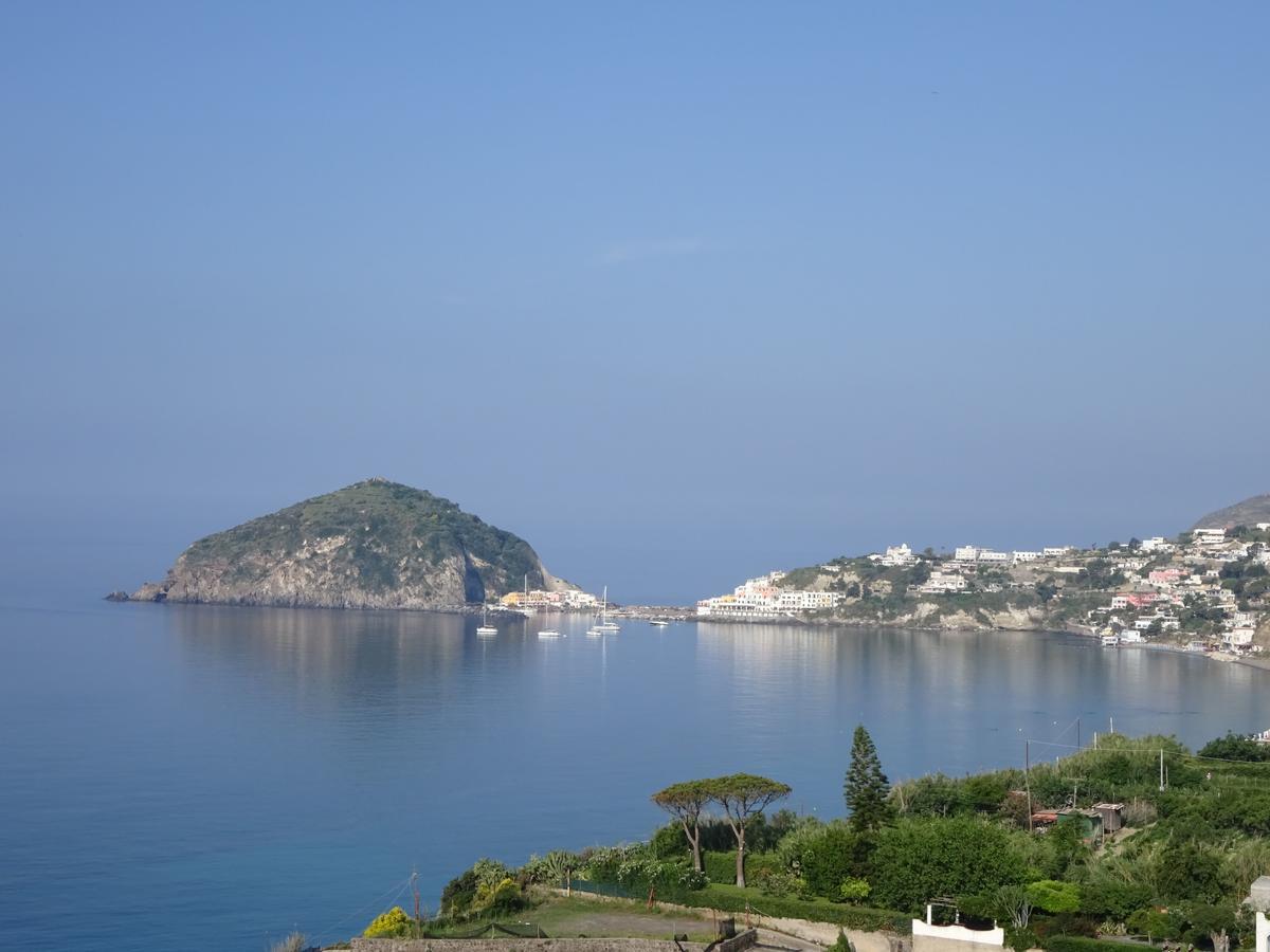Bed and Breakfast Casa Antonio Barano dʼIschia Zewnętrze zdjęcie