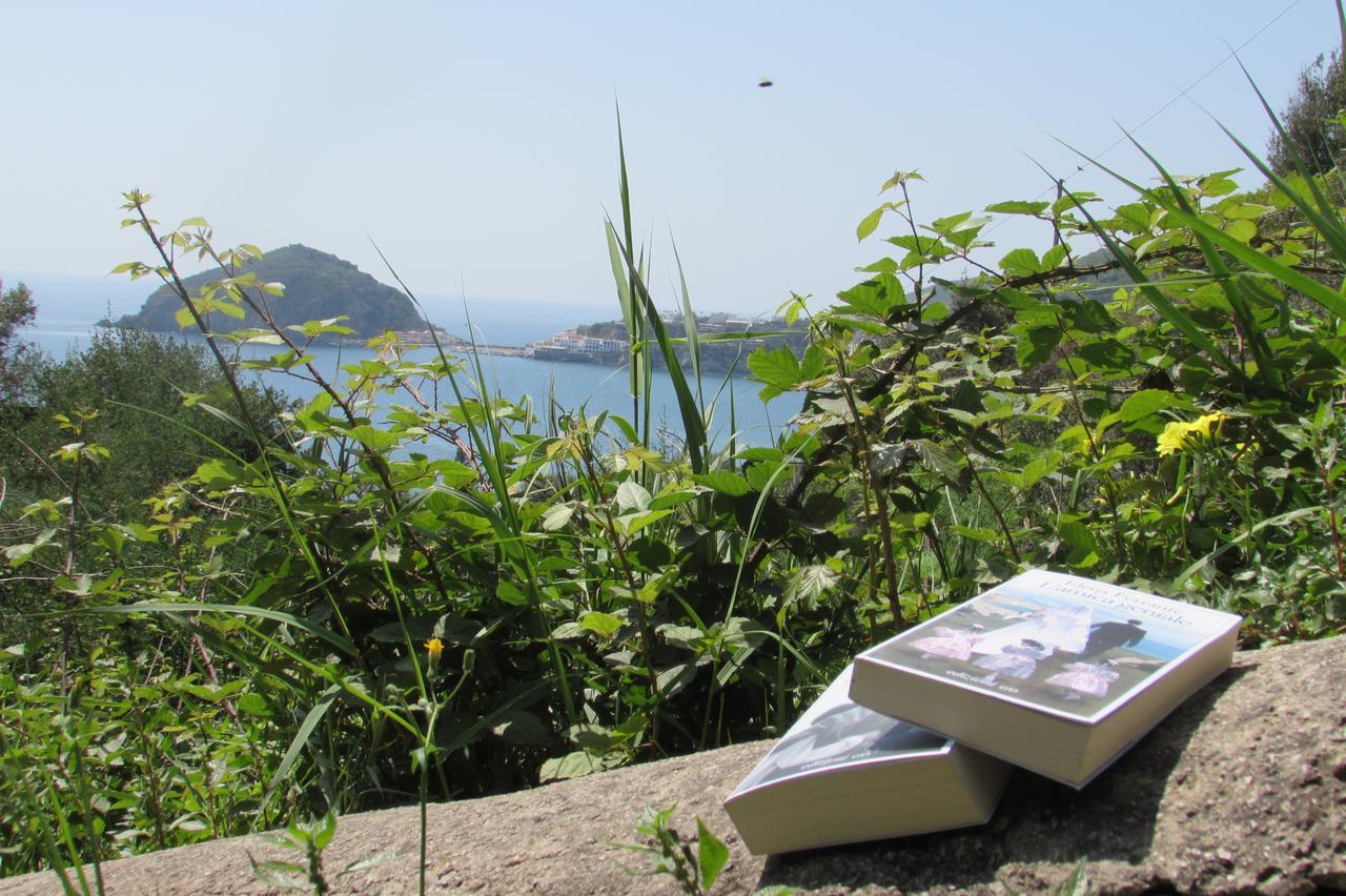 Bed and Breakfast Casa Antonio Barano dʼIschia Zewnętrze zdjęcie